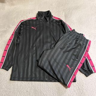 PUMA（ジャージ ・ ピンク/桃色系）のフリマアイテム一覧