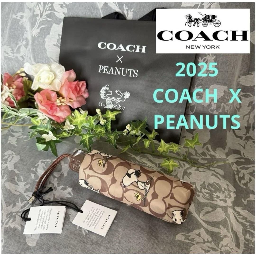 COACH - 最新 新品 COACH PEANUTS コーチ 折りたたみ傘 日傘