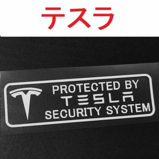 テスラ プレートのフリマアイテム一覧