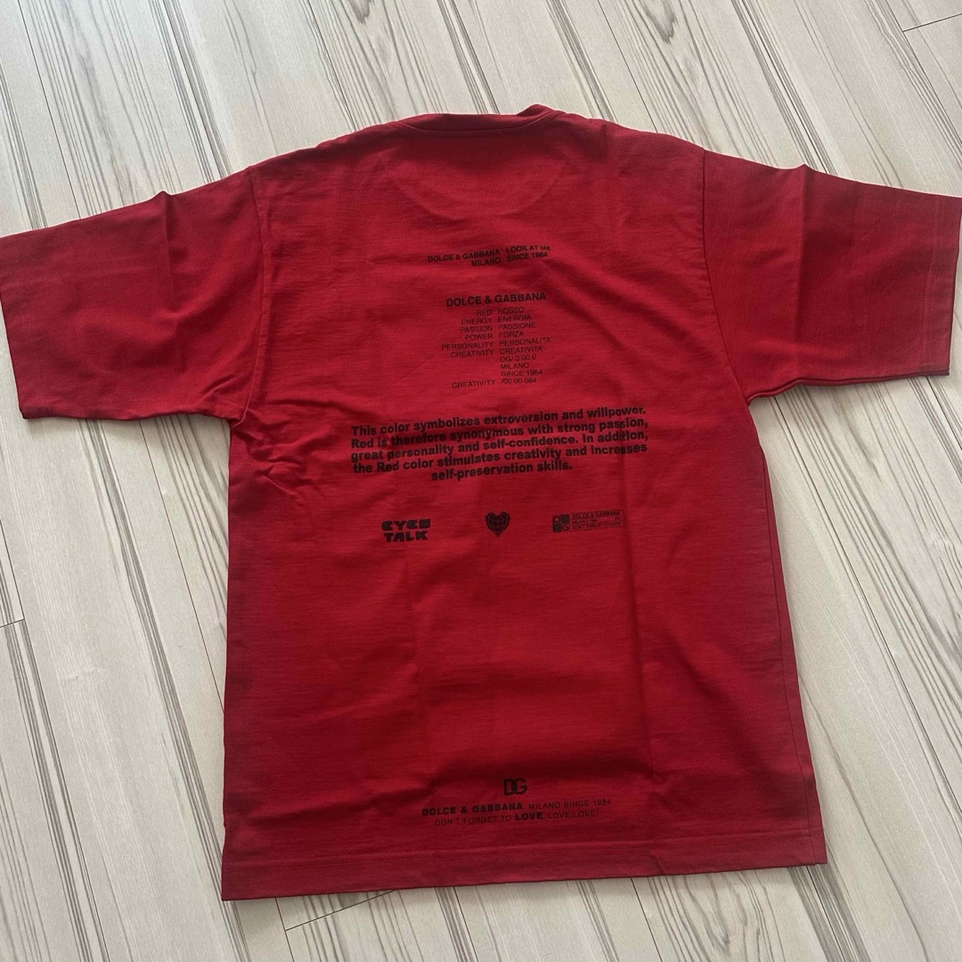 DOLCE&GABBANA - 【クリーニング済み美品】DOLCE & GABBANA メンズT