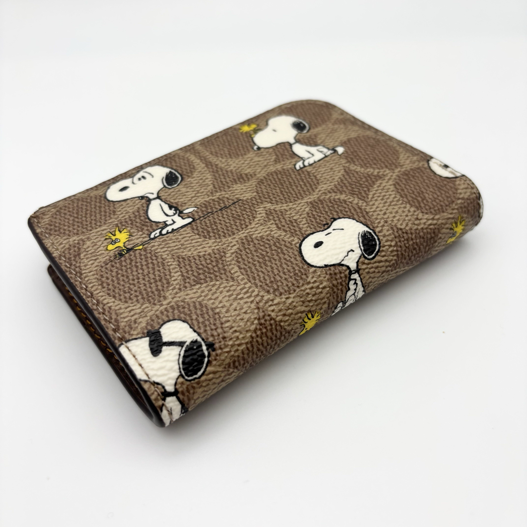 COACH - 【COACH X PEANUTS】キー ケース！シグネチャー！スヌーピーの