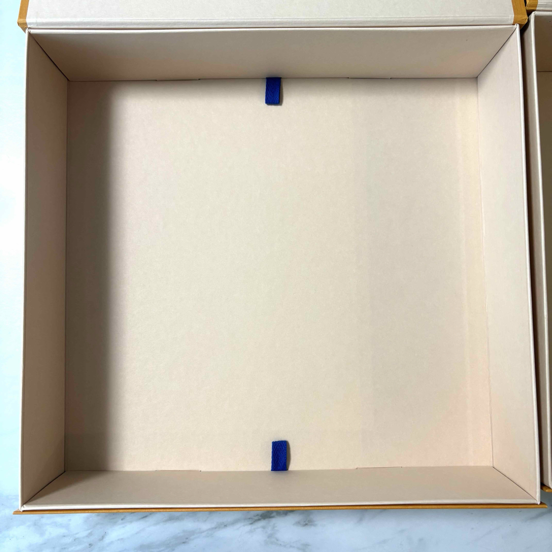 LOUIS VUITTON - 【極美品】LOUIS VUITTON 大サイズ 2個セット 空箱
