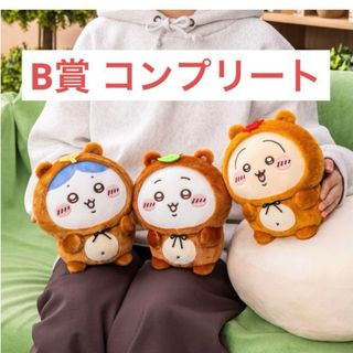 2666480461.jpg?1756381697