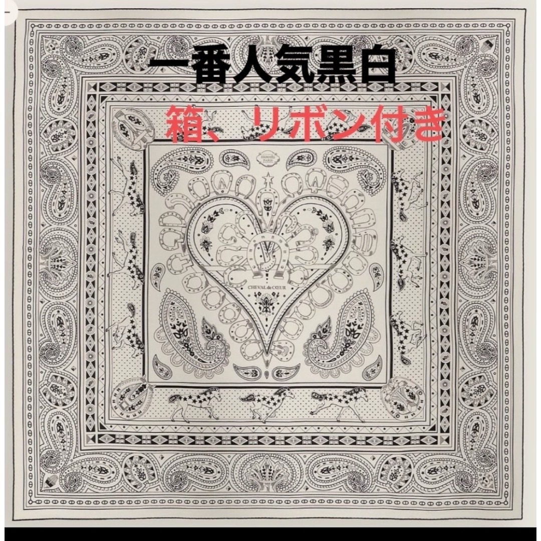 HERMES - 新品タグ付HERMESカレジェアン野村大輔シュヴァル・ドゥ