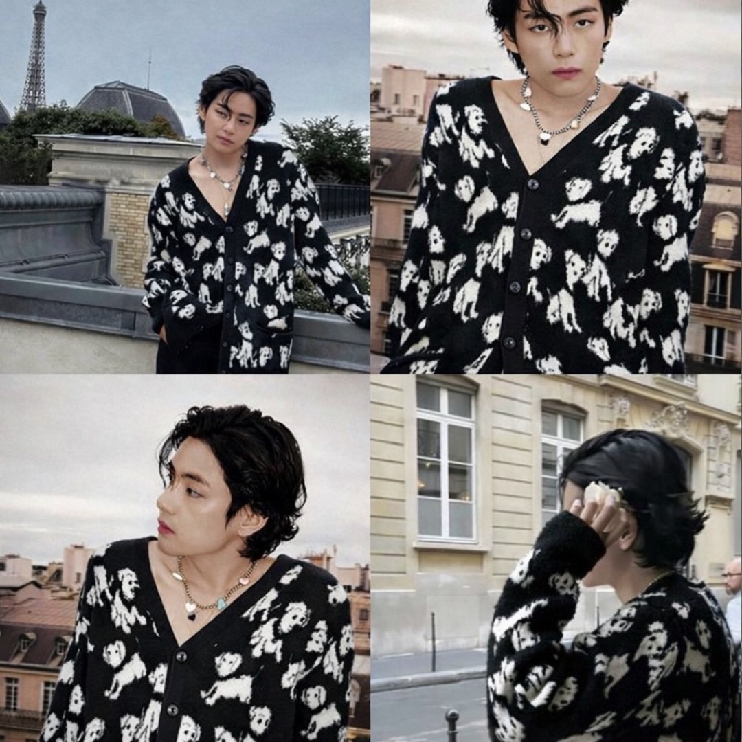 CELINE - 破格‼️CELINE 犬柄 カーディガン エイミードリアンの通販 by