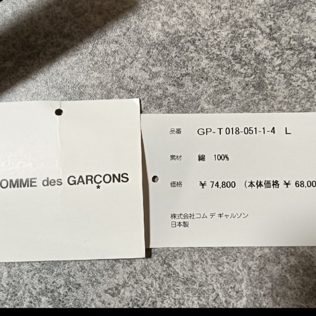 COMME des GARCONS - 25-26aw コムデギャルソン タータンチェック