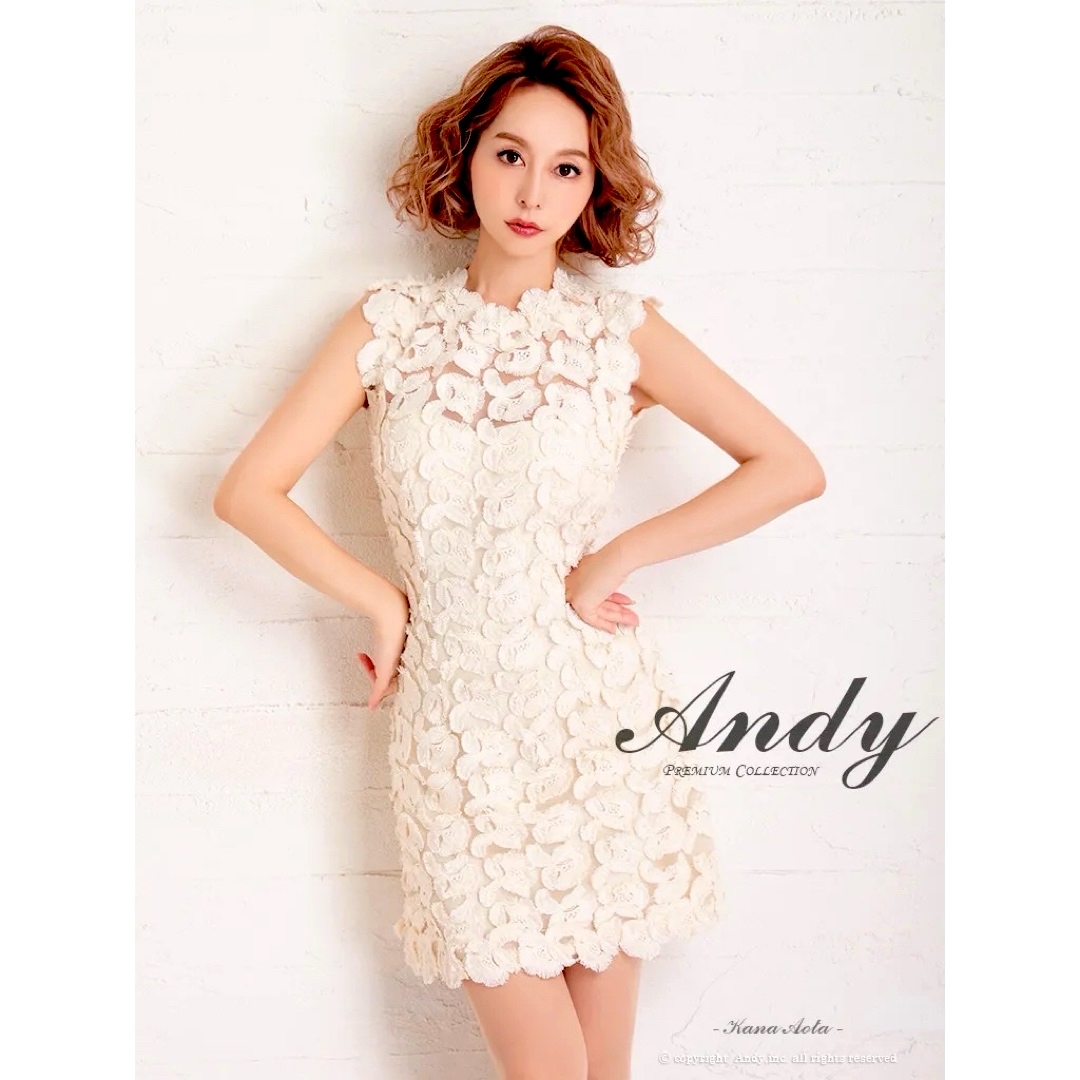 OK2659＊フリンジレース刺繍ハイネックドレスclM