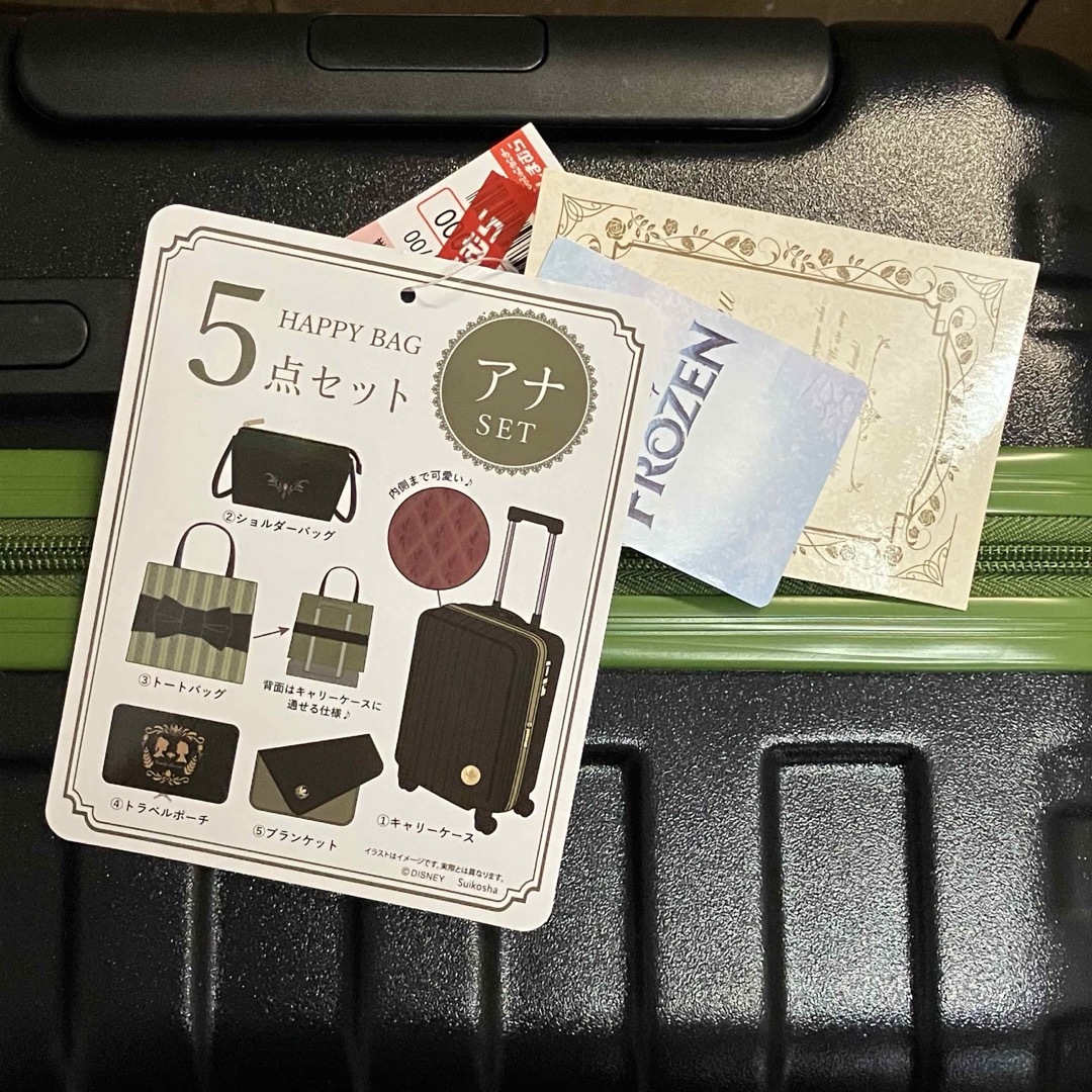 ちはるさんコラボ 5点セット アナ雪 アナ キャリーケース ディズニー