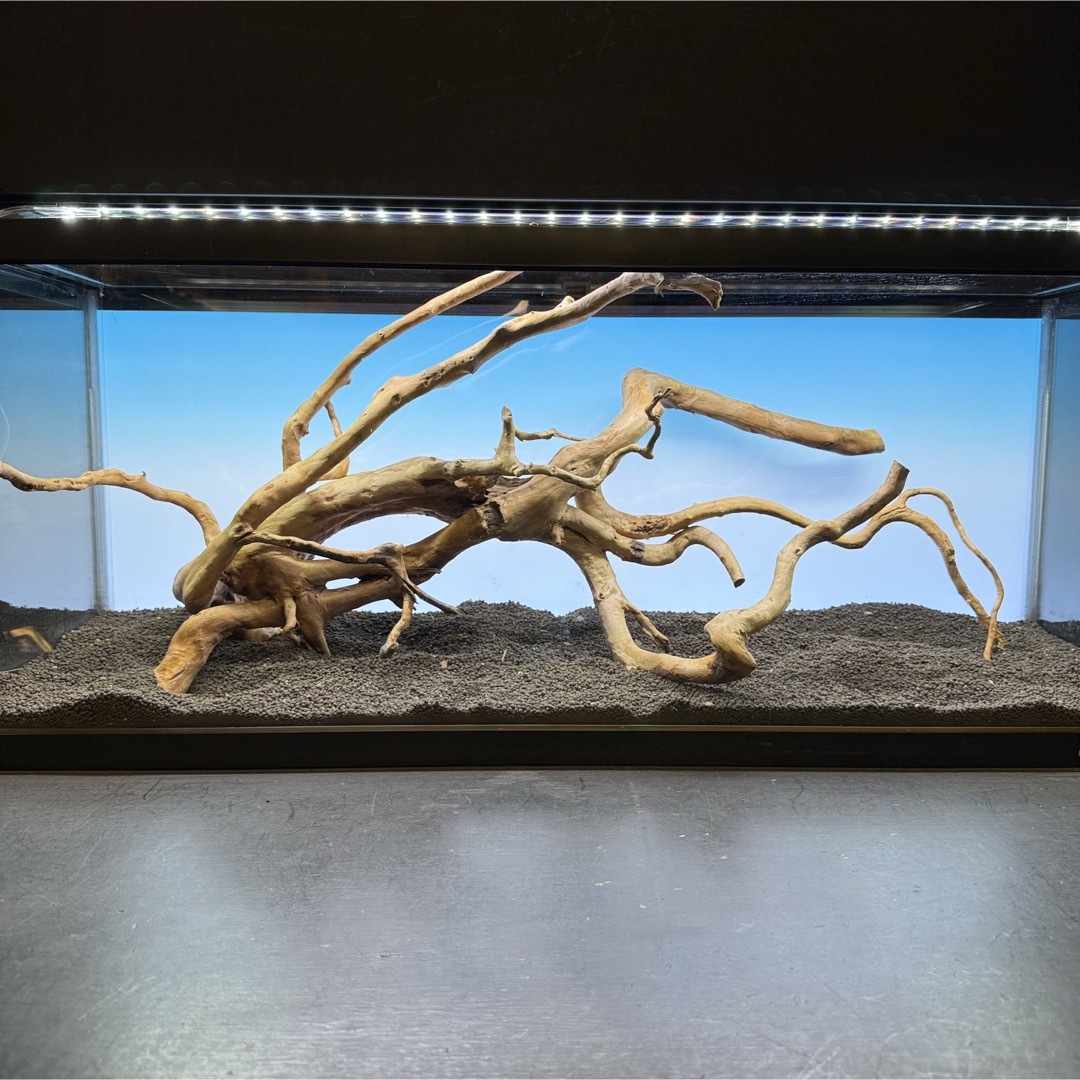MDW-7104 ブランチウッド4本セット 流木セット 枝流木 アクアリウム