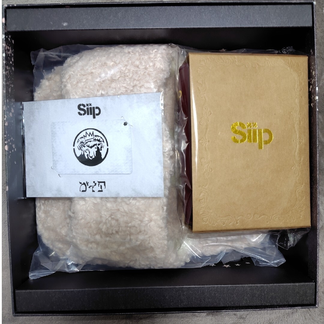 本日限定値下げ！ Siip / ガイア【完全生産限定盤】の通販 by 3737's