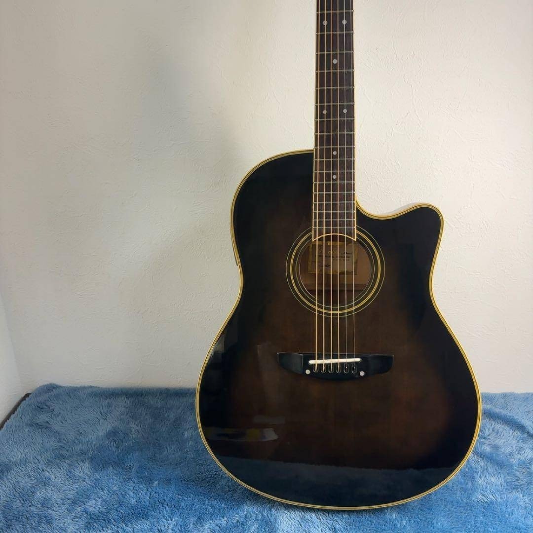 Morris Rumbler MR-2 エレアコ 黒 ランブラー