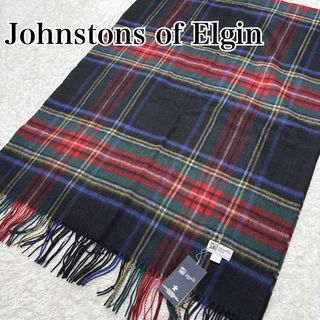 Johnstons - HAUNT別注 ジョンストンズ カシミヤ大判ストール パープル