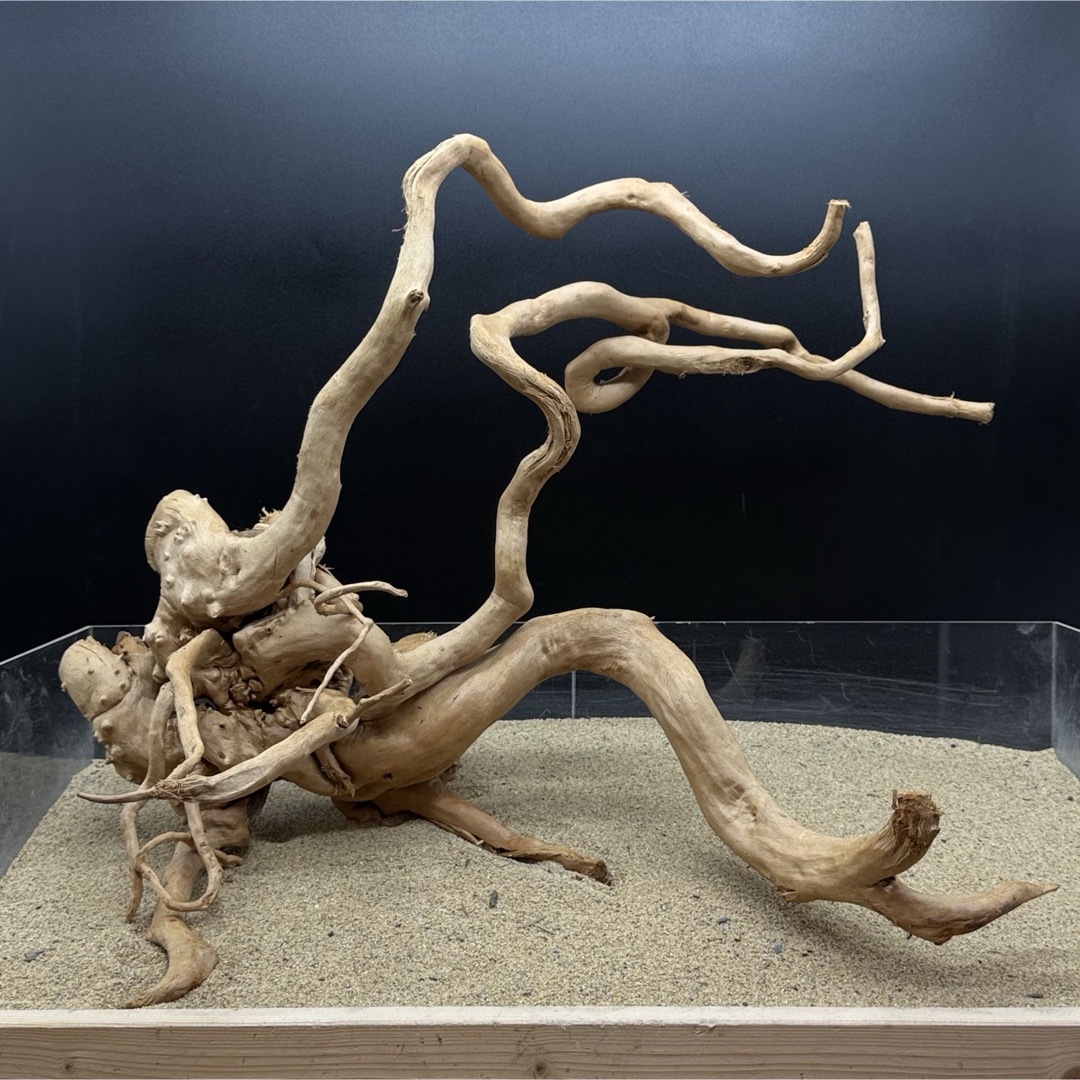 MDW-6921 特大ブランチウッド 流木 枝流木 アクアリウム MDW-6921 特大