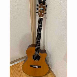 Martin - 美品 2012 Martin 縦ロゴ GPCPA1 マーティン エレアコの通販