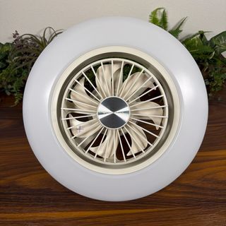 未使用 ピーターアイビー peter ivy Light Capsule Sの通販 by kj0830