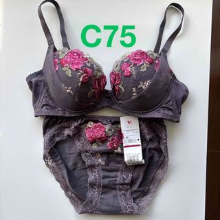 Wacoal - 壇蜜anan着 サルート パキータ レッド ソング新品 ⑩の通販