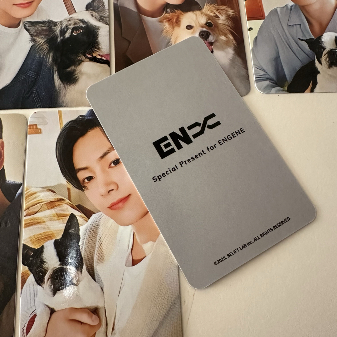 ENHYPEN FC ヒスン アンケートトレカ 2025 ENHYPEN FC特典 アンケート