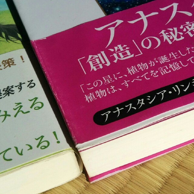 アナスタシア 1～6巻セット ウラジミールメグレの通販 by