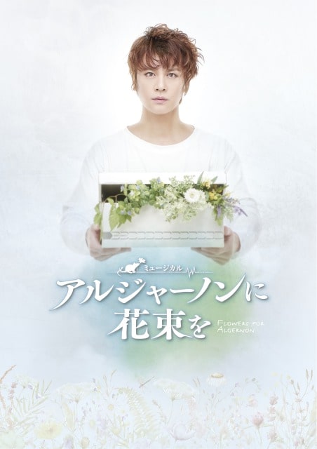ミュージカル『アルジャーノンに花束を』｜演劇のチケット ローチケ