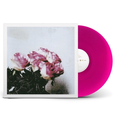 Love Logic (クリアパープル・ヴァイナル仕様/アナログレコード