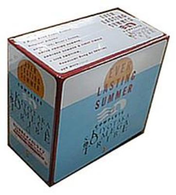 EVER LASTING SUMMER COMPLETE S.KIYOTAKA & OMEGA TRIBE : 杉山清貴