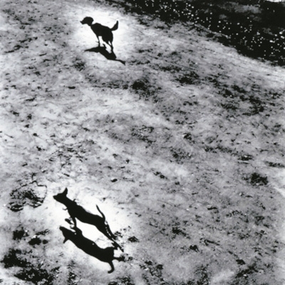 中学生 (+DVD) : betcover!! | HMV&BOOKS online - CTCR-14973