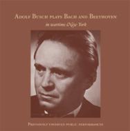 アドルフ・ブッシュ1920年代の名演集！｜HMV&BOOKS onlineニュース