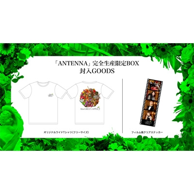 ANTENNA 【完全生産限定BOX】(+Blu-ray+GOODS) : Mrs. GREEN APPLE