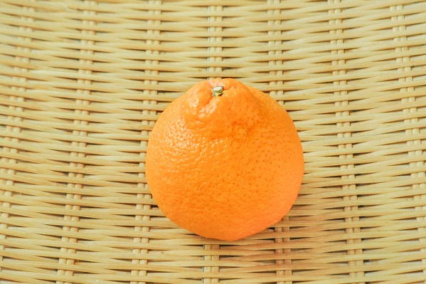 デコポン（18玉サイズ） 【業務用食材の仕入れなら八面六臂】