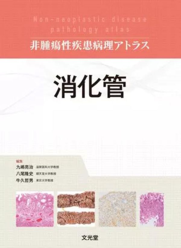消化管 (非腫瘍性疾患病理アトラス) 九嶋 亮治(編) - 文光堂 | 版元