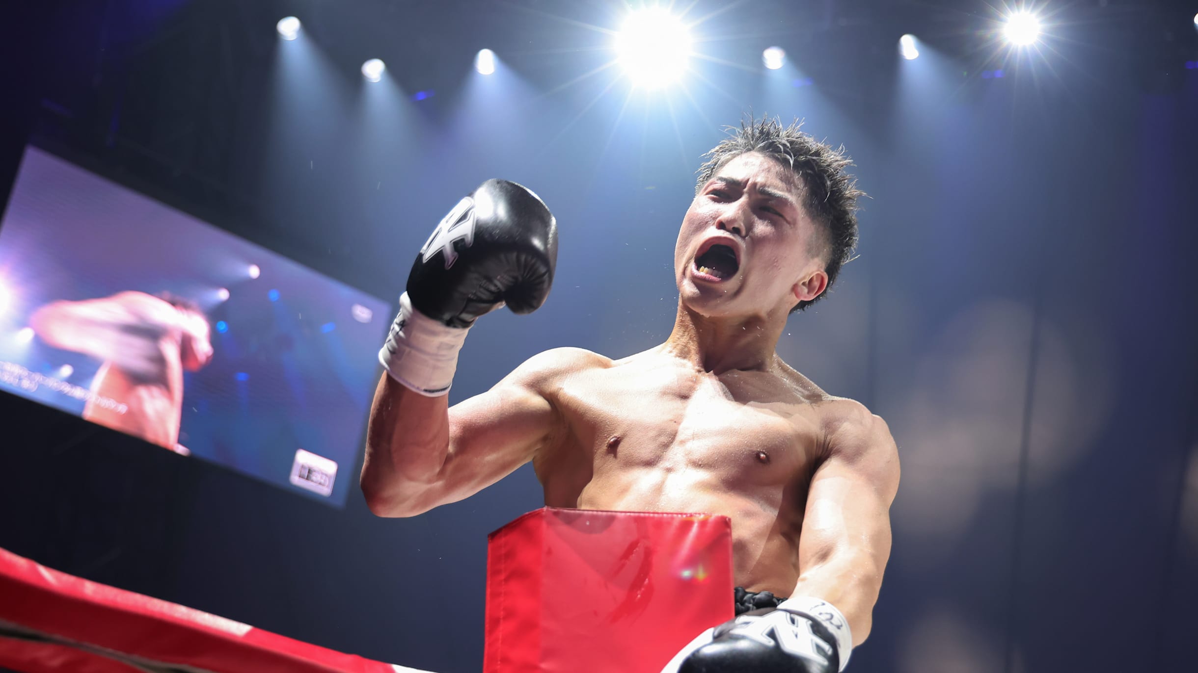 井上尚弥vsドヘニー2024丨放送予定一覧！テレビ・ネット中継・ライブ