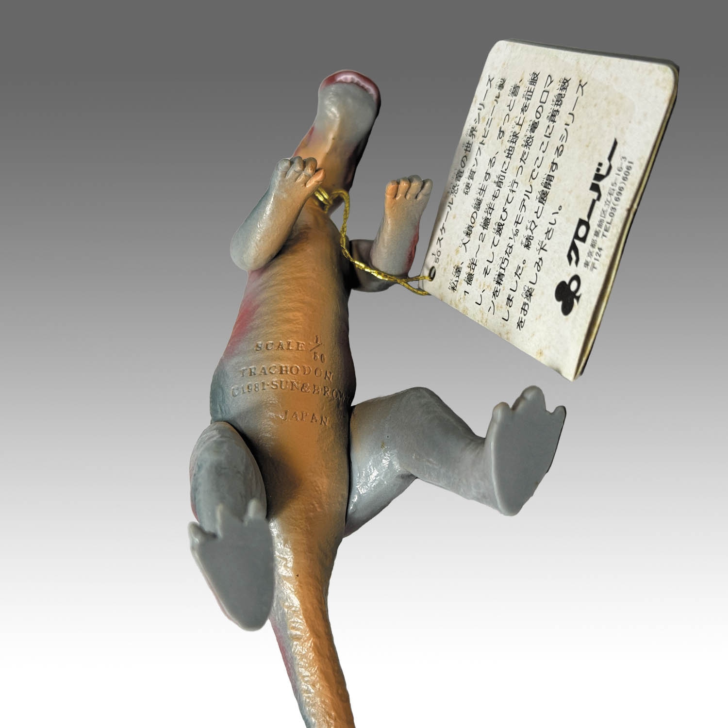 2651] 恐竜の世界シリーズ トラコドン