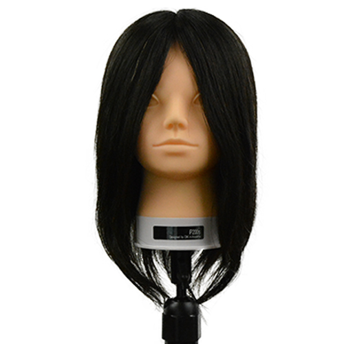 カットマネキン iP200s ユーロプレステージの通販・卸 | 4560149173103