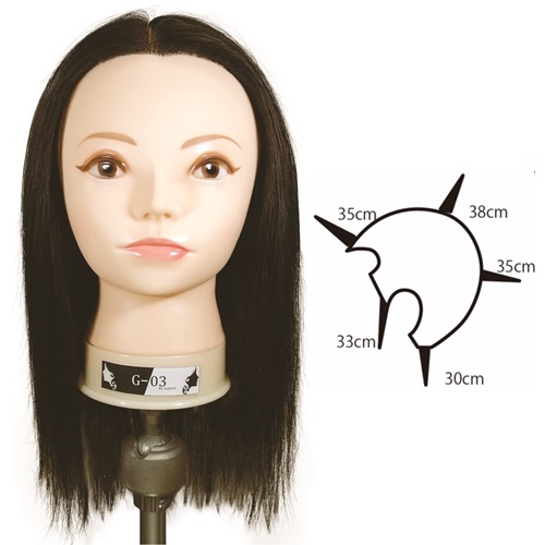 カットマネキン iP200s ユーロプレステージの通販・卸 | 4560149173103