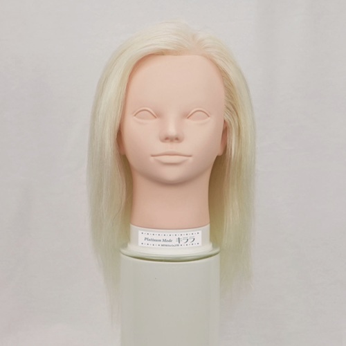 カットマネキン iP500 ユーロプレステージの通販・卸 | 4560149173011