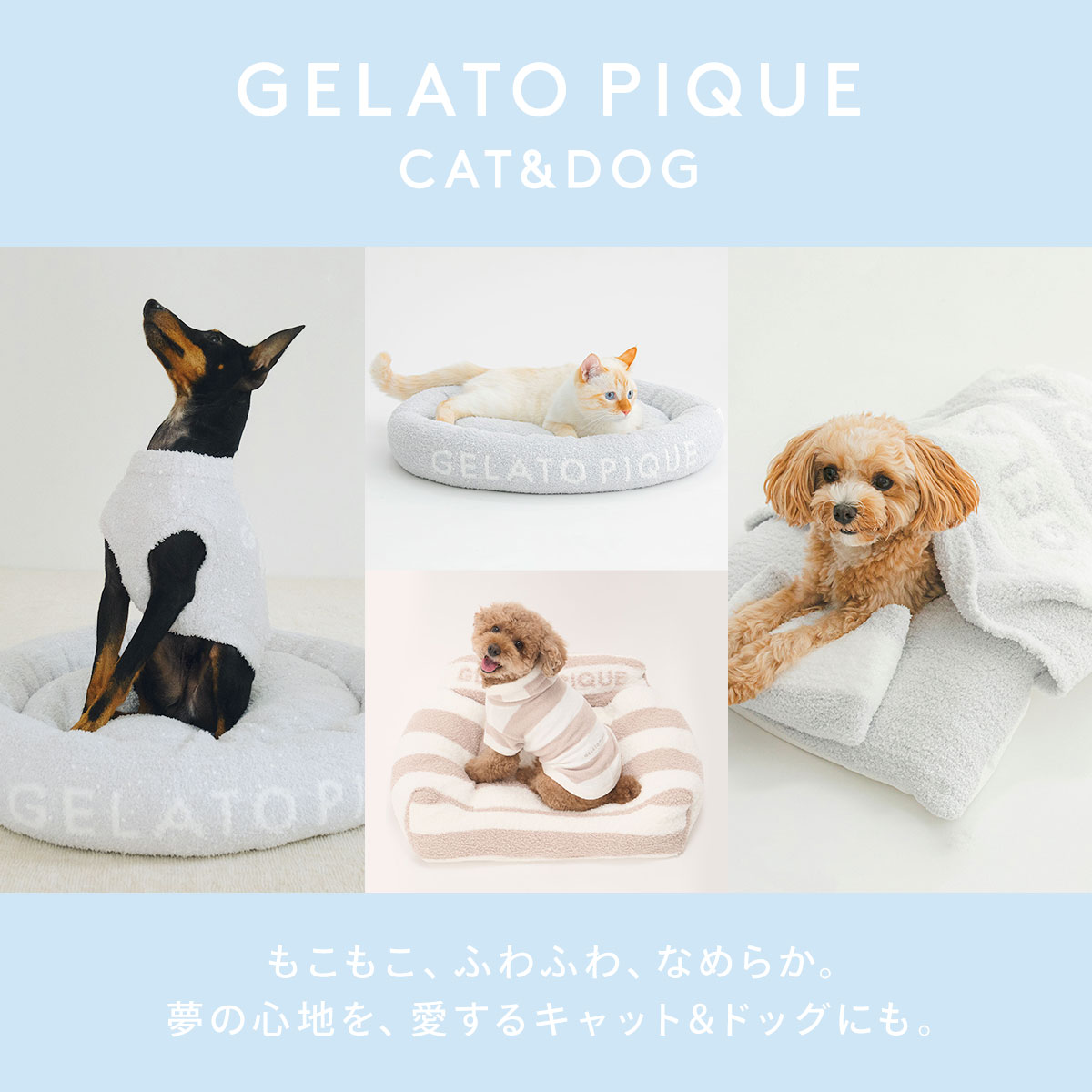 ジェラートピケ CAT&DOG シュナウザー柄カットソープルオーバー