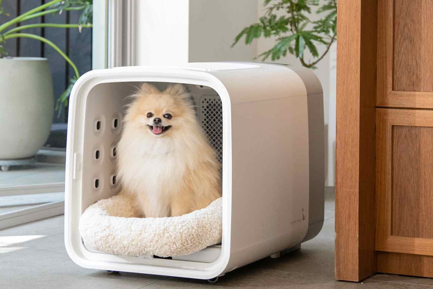 08b35980-nello_interview_top-