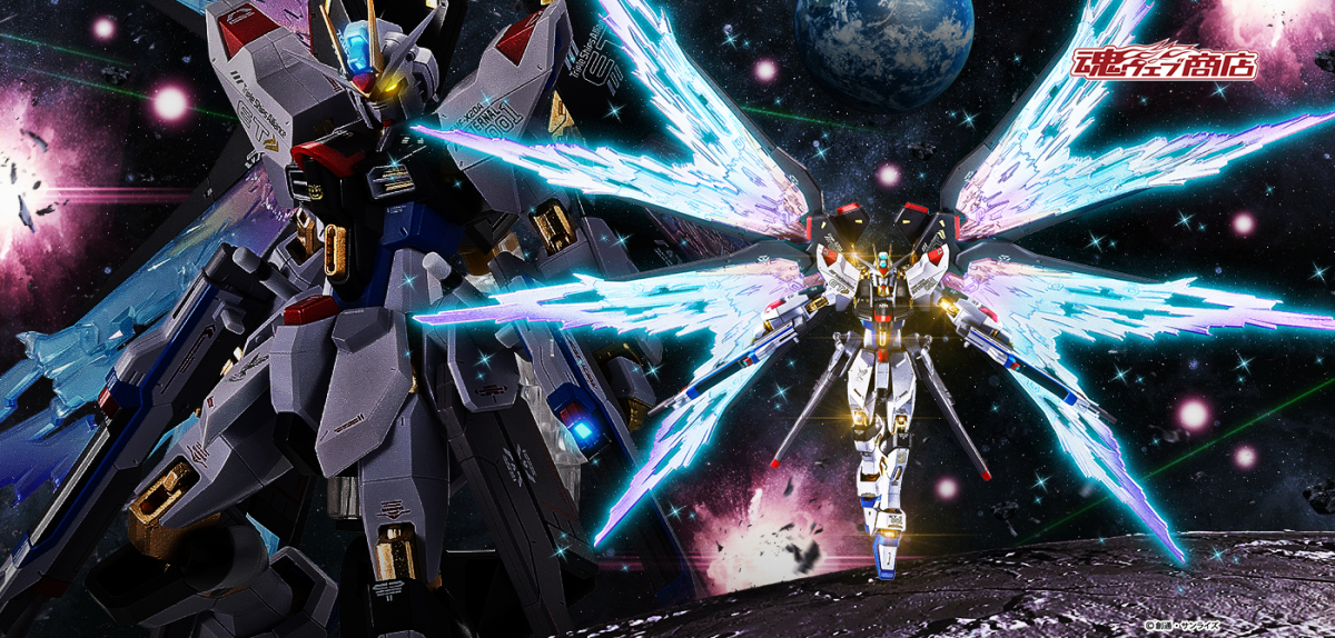 METAL ROBOT魂『ストライクフリーダムガンダム[Re:Coordinate]専用 光