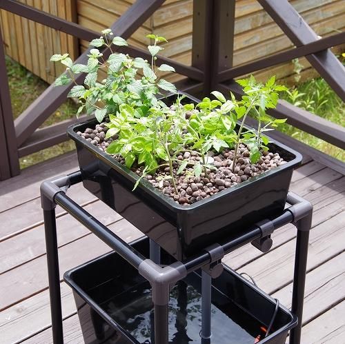 小型 アクアポニックス 水耕栽培 DIY キット オーバーフロー 水槽