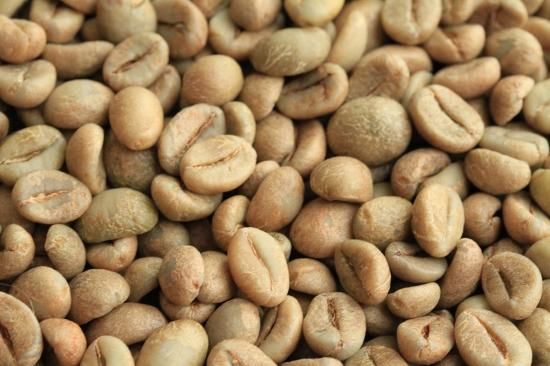 コーヒー生豆】ベトナムロブスタ-Future Coffee Farm フルウォッシュド