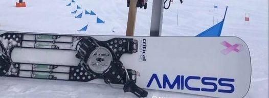 シンラインプレート,SinLinePlateスノーボードショップ,サーフショップ