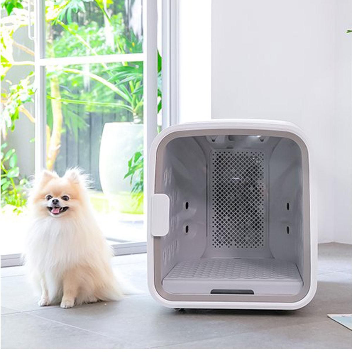 ペットドライルーム nello／ネロ｜わん子ん家ひまカフェ