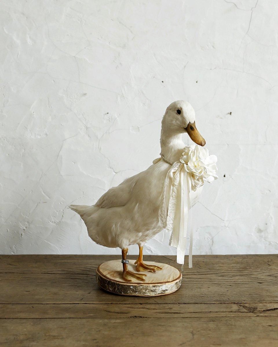 昭和ろく アヒル デカンタ 水差し フレンチアンティーク デカン 昭和