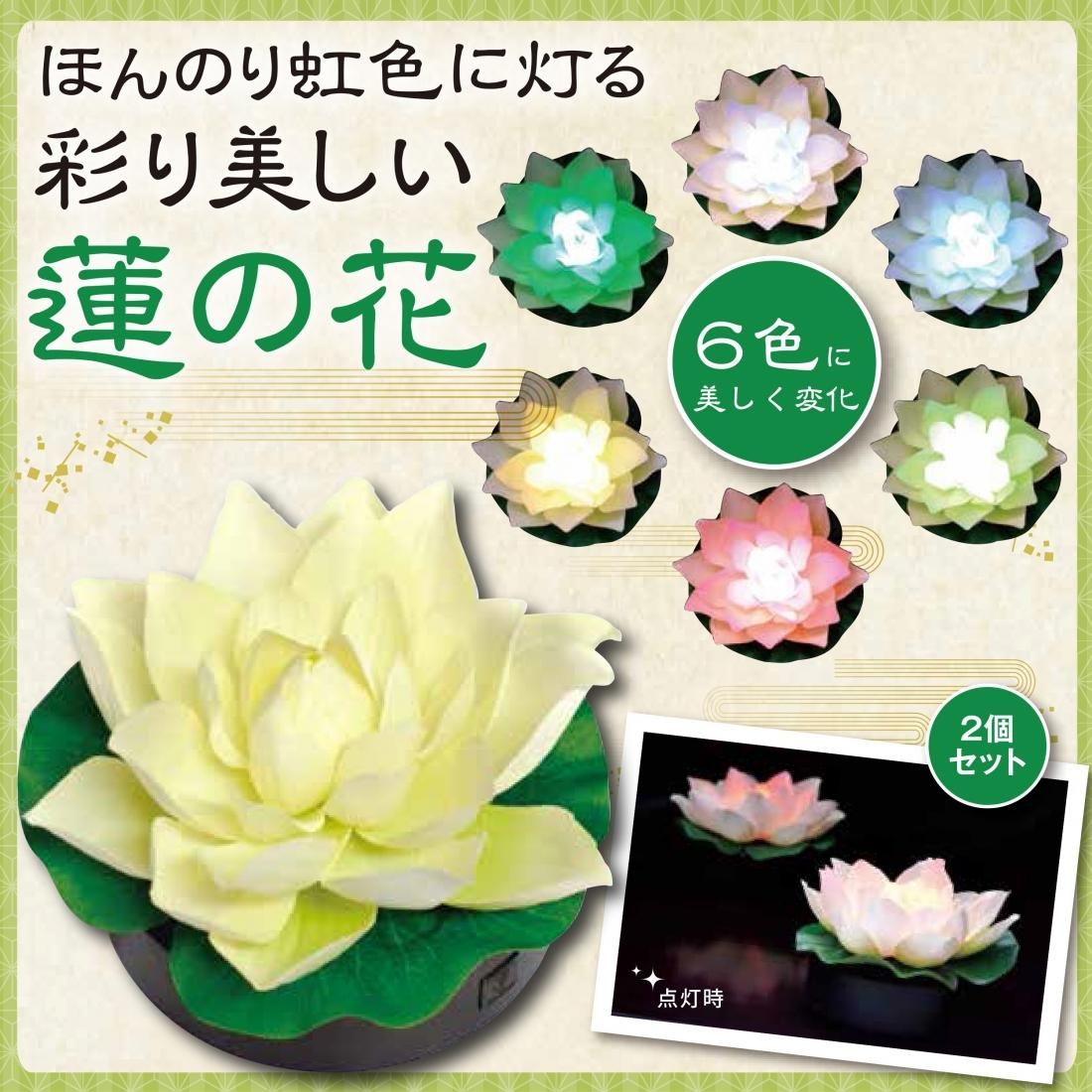 ロータス ～蓮花 はすはな～ - サンワイ商事