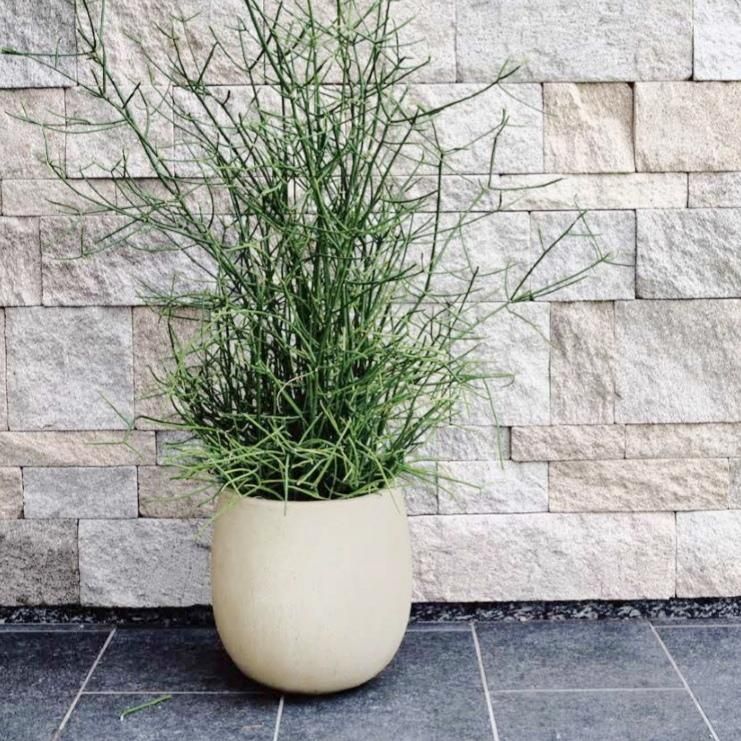 植木鉢 おしゃれ 軽い テラニアスバルーンS＜ 30cm 10号 FRP