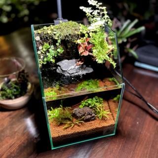 アクアテラリウム】完成品 - HIROSE WEB SHOP