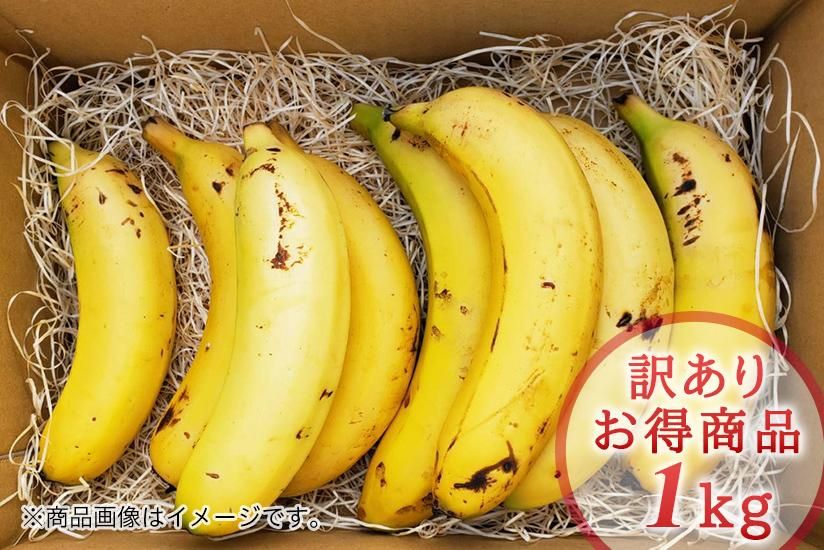 希少！国産バナナNEXT716【訳あり1kg】 - 宮崎県産無農薬バナナ「NEXT716」