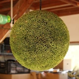 杉玉 - 杉玉の高林 オンラインストア