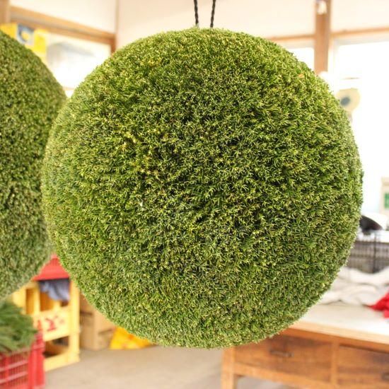 杉玉・直径40cm - 杉玉の高林 オンラインストア
