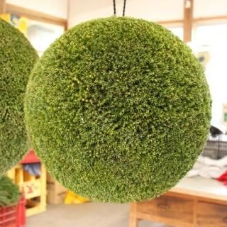 杉玉 約40センチ屋根付き‼️お客様ご注文品♪ 杉玉 約40センチ 屋根